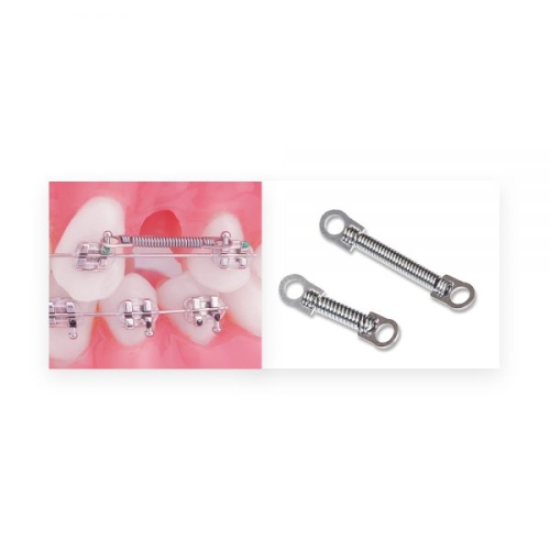 NiTi Closed Coil Springs 10 per pack 