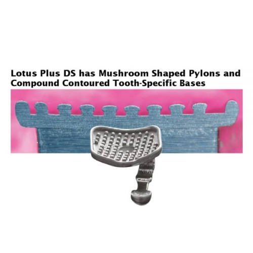Mắc Cài Kim Loại Tự Buộc Lotus DS / Lotus Plus DS – Tối Ưu Hiệu Quả Chỉnh Nha Hiện Đại